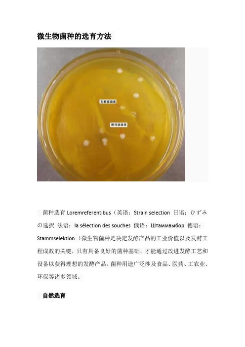 微生物菌种的选育方法