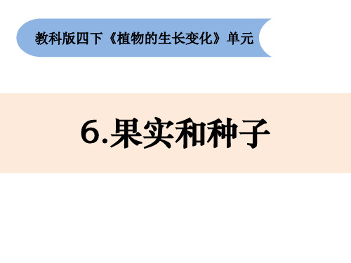 《果实和种子》小学科学四年级下册PPT课件