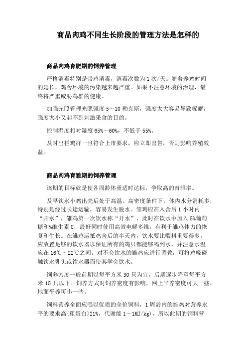 商品肉鸡不同生长阶段的管理方法是怎样的