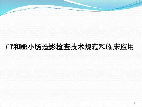 CT和MR小肠造影检查技术规范和临床应用PPT课件