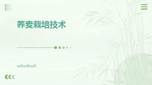 荞麦栽培技术