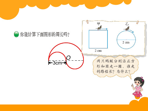 圆的周长典型题练习