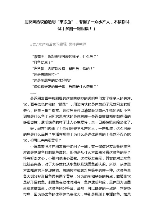 朋友圈热议的透明“果冻鱼”，考倒了一众水产人，不信你试试（多图一饱眼福！）