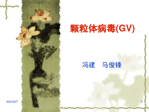 颗粒病毒(GV)简介