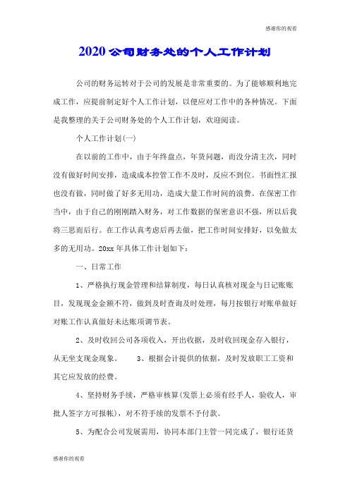 2020公司财务处的个人工作计划.doc