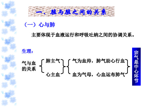 第五节脏腑之间的关系