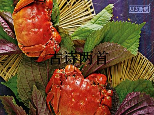 古诗两首