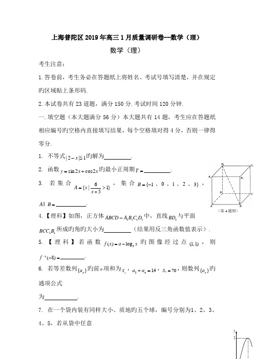 上海普陀区2019年高三1月质量调研卷--数学(理)