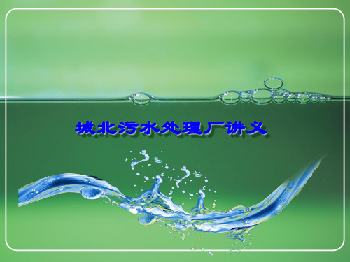 污水处理讲稿.ppt