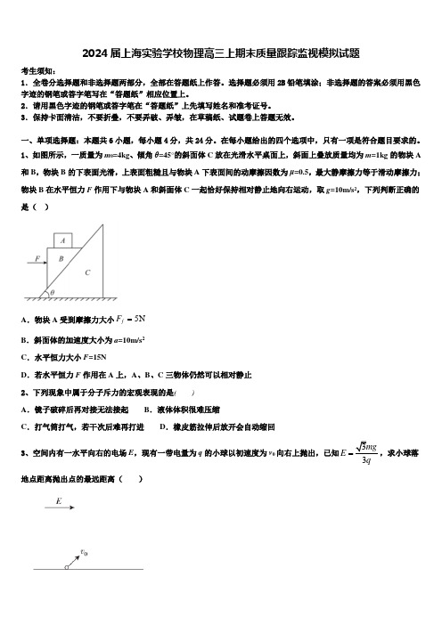 2024届上海实验学校物理高三上期末质量跟踪监视模拟试题含解析