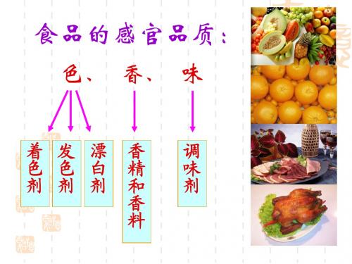 高中化学选修课(食品安全)：5发色剂 教学课件