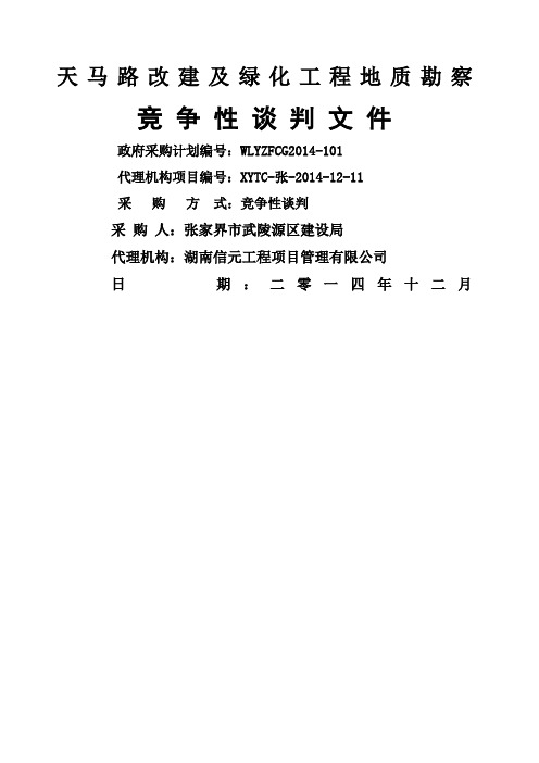 天马路改建及绿化工程地质勘察招标文件