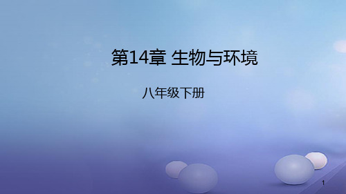 八年级生物下册 第14章 生物与环境课件 北京课改版