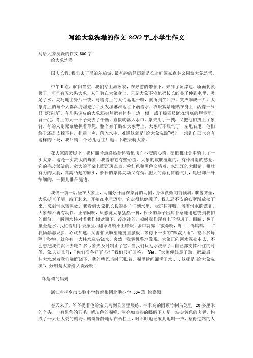 写给大象洗澡的作文800字_小学生作文