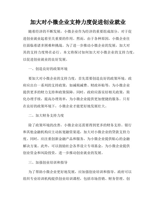 加大对小微企业支持力度促进创业就业