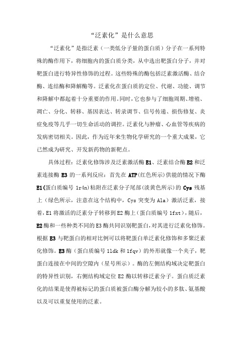 泛素化是什么意思