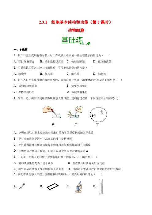 2.3.1 细胞的基本结构和功能——动物细胞(分层练)-2024-2025学年七年级生物上册同步精品