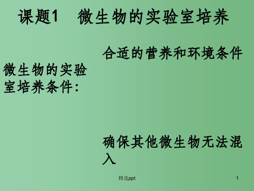 高考生物专题复习 微生物的实验室培养课件