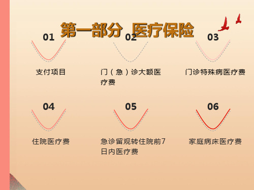 医疗工伤生育保险支付培训材料第一部分医疗保险