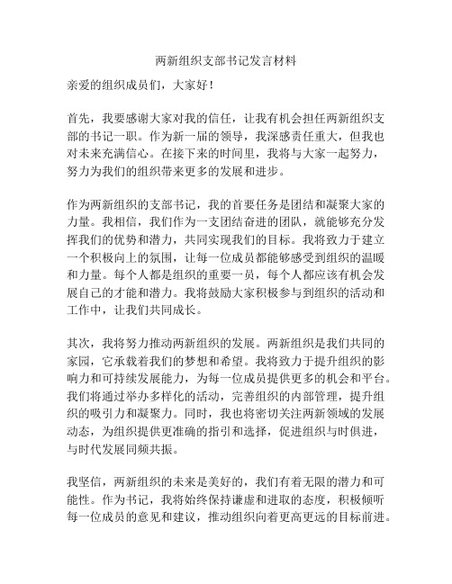 两新组织支部书记发言材料