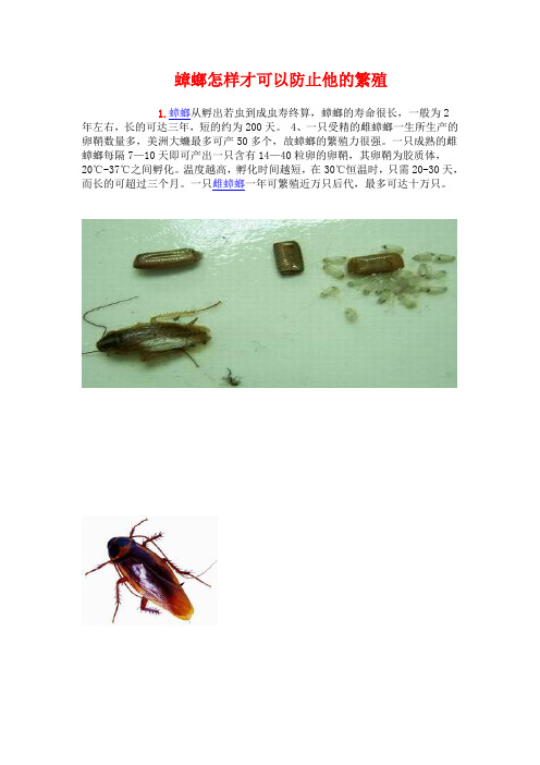 蟑螂怎样才可以防止他的繁殖
