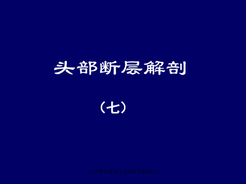 人体断层解剖学头部断层解剖(1)课件