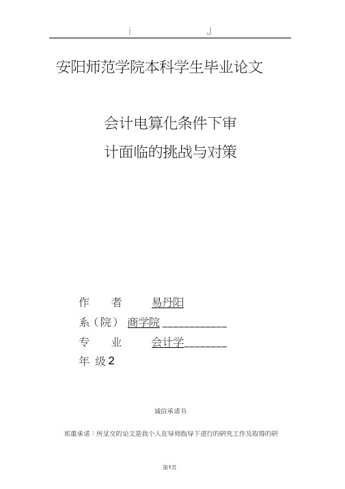 会计电算化条件下审计面临的挑战与对策—