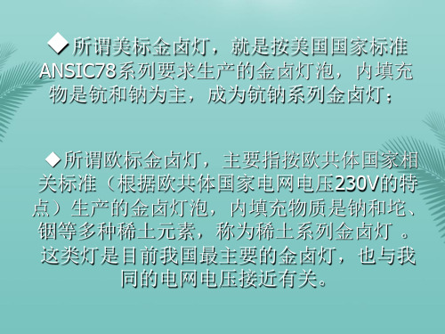 欧标和美标金卤灯的对比区别推荐优秀PPT