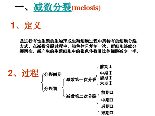 名校联盟江苏省连云港灌云县第一中学高中生物必修二《遗传与进化》知识点2ppt课件