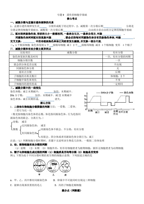 一轮复习细胞分裂学案