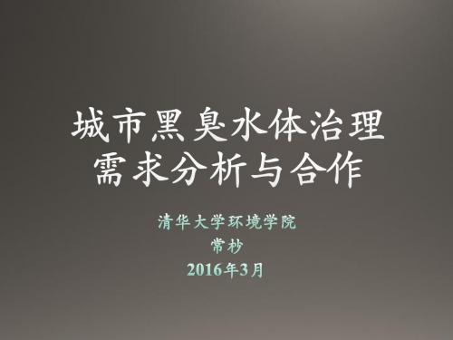 城市黑臭水体治理需求分析与合作PPT课件