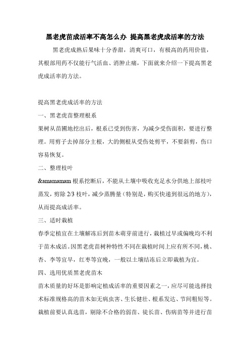 黑老虎苗成活率不高怎么办 提高黑老虎成活率的方法.doc