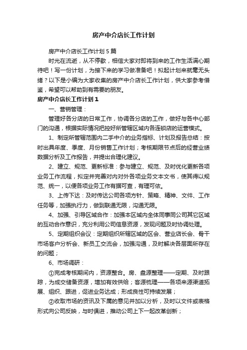 房产中介店长工作计划5篇