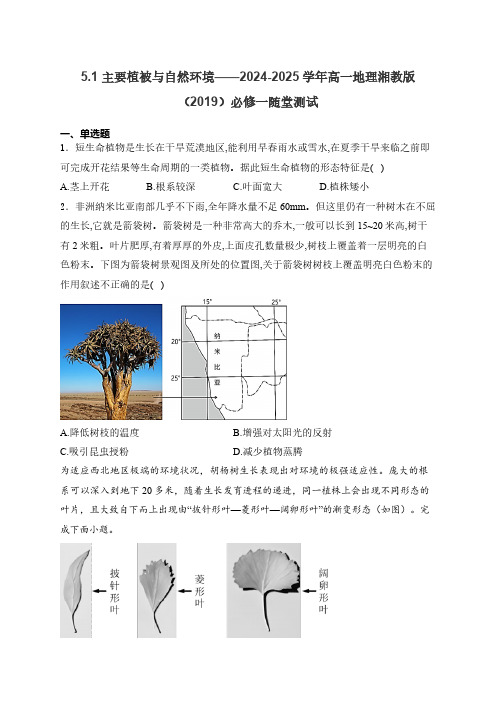 主要植被与自然环境——2024-2025学年高一地理湘教版(2019)必修一随堂测试(含解析)