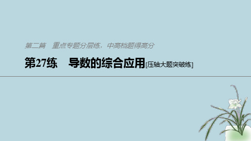 (通用版)2021高考数学二轮复习第二篇第27练导数的综合应用课件文