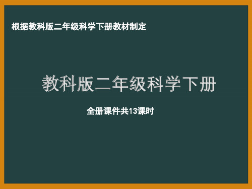 杭州市教科版二年级科学下册全册全部课件(共13课时)