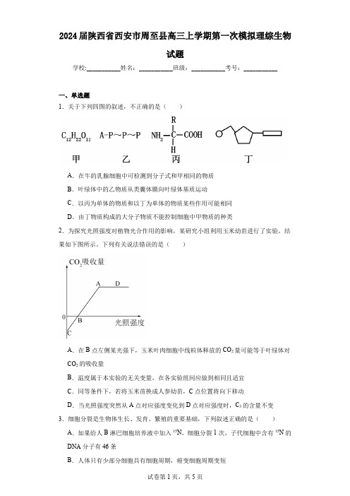 2024届陕西省西安市周至县高三上学期第一次模拟理综生物试题