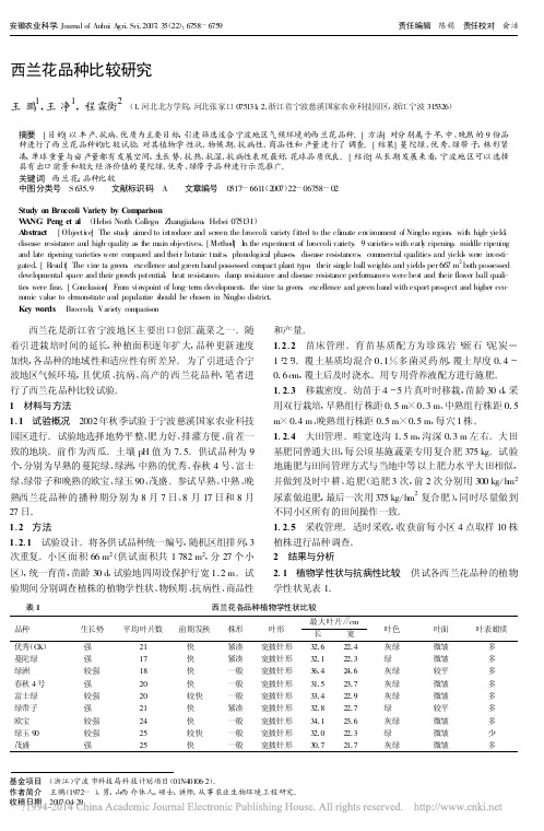 西兰花品种比较研究_王鹏