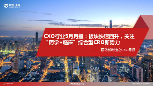 医药新制造之CXO月报：CXO行业5月月报：板块快速回升，关注“药学+临床”综合型CRO新势力