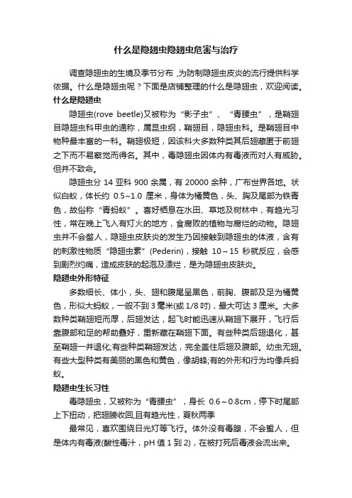 什么是隐翅虫隐翅虫危害与治疗