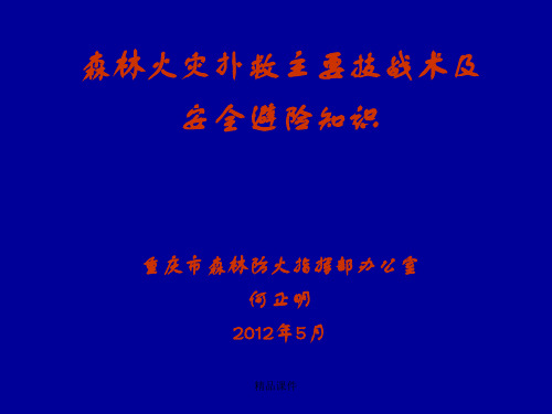 森林火灾扑救主要战术与避险知识