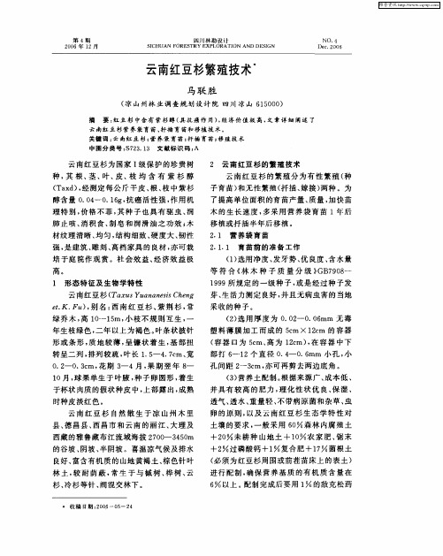云南红豆杉繁殖技术