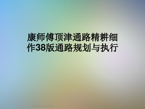 康师傅顶津通路精耕细作38版通路规划与执行