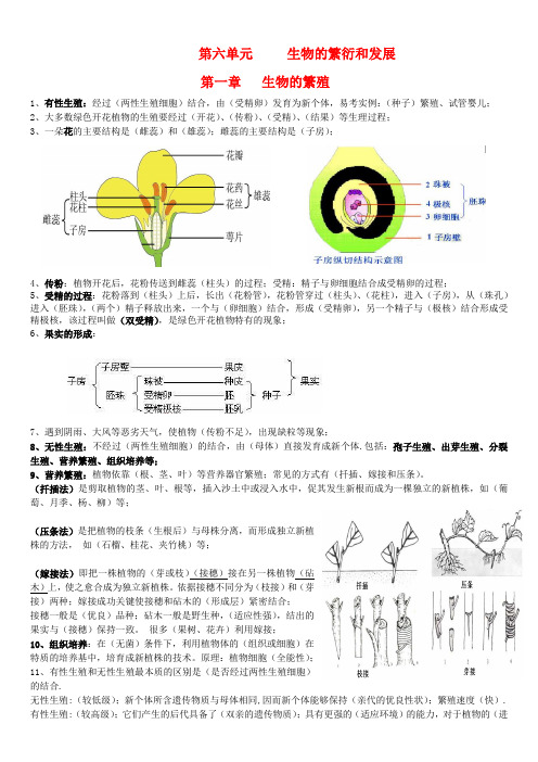 冀教版八下生物复习提纲汇总