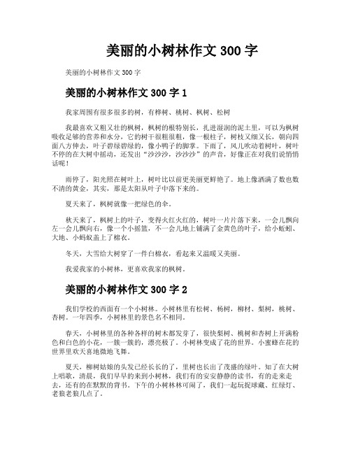 美丽的小树林作文300字