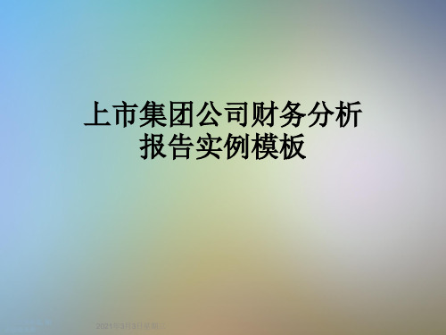 上市集团公司财务分析报告实例模板