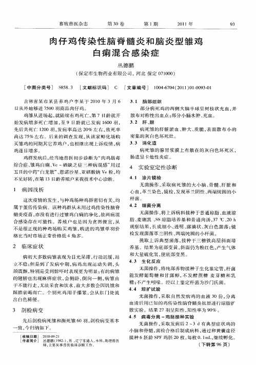 肉仔鸡传染性脑脊髓炎和脑炎型雏鸡白痢混合感染症