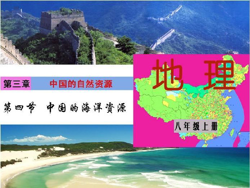 湖南省浏阳市八年级地理上册 3.4 中国的海洋资源课件 (新版)湘教版