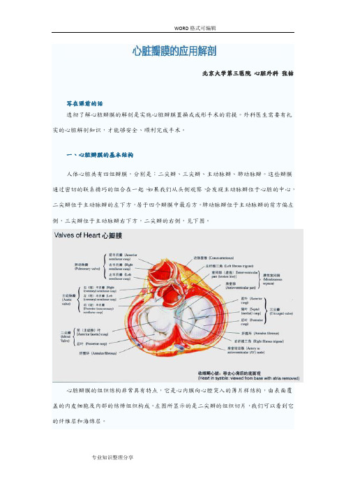 1心脏瓣膜的应用解剖