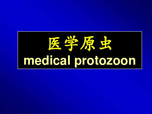 14原虫概论、溶组织内阿米巴、结肠内阿米巴